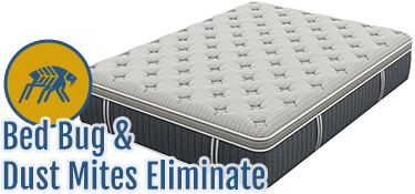Mattress Cleaning Mattress Cleaning